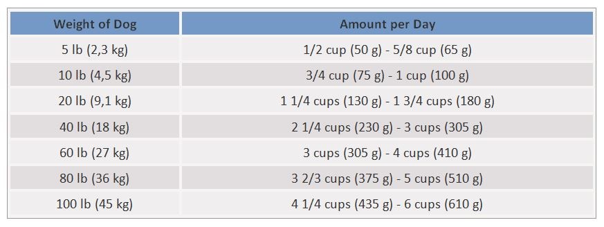 How Much Should Dogs Eat? Calculate How Much to Feed