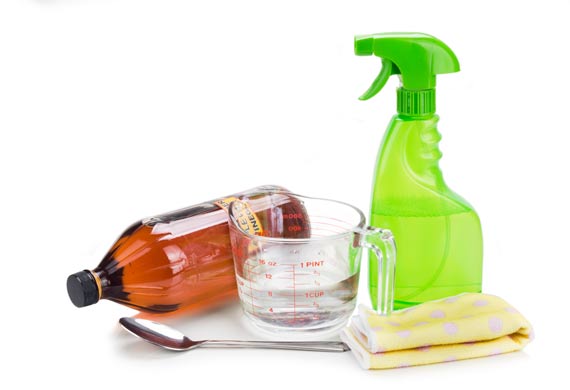 vinegar flea repellent