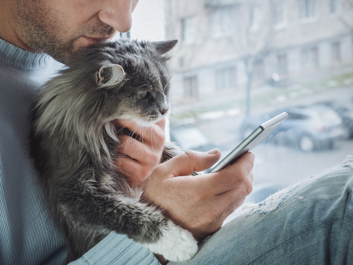 Online vet chat