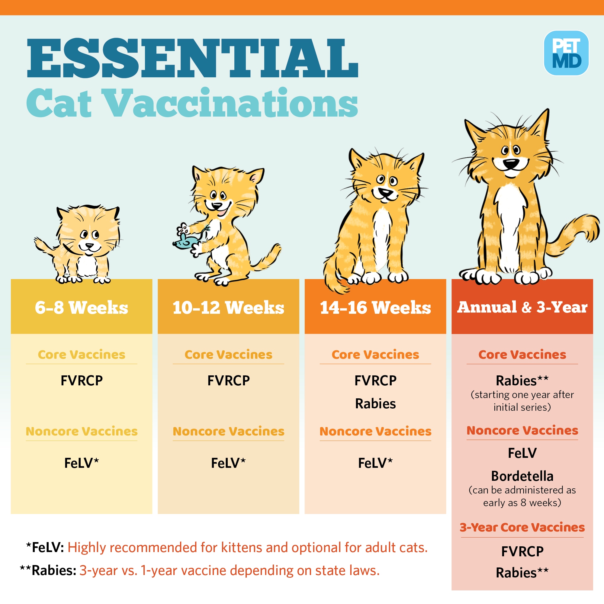 age for rabies vaccine in cats