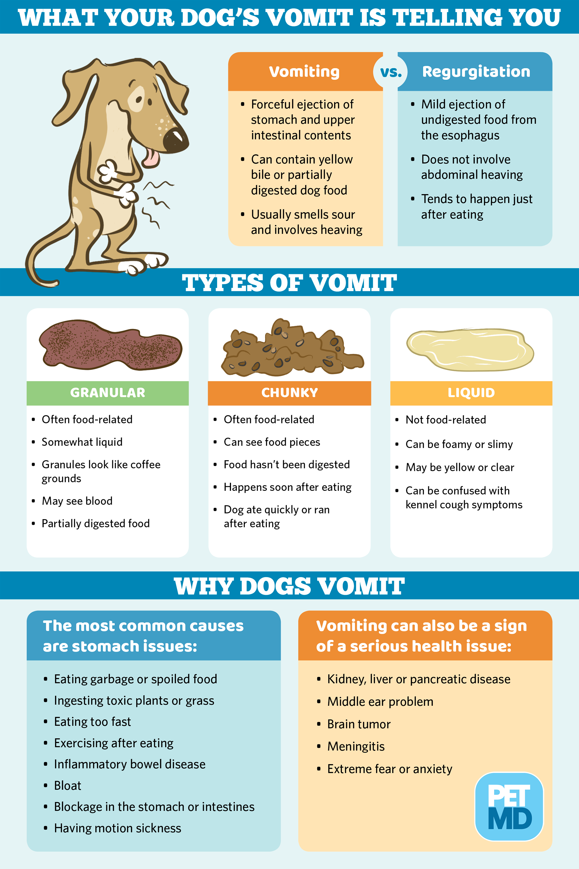 Dog Vomiting: Why Is Your Dog Throwing Up?