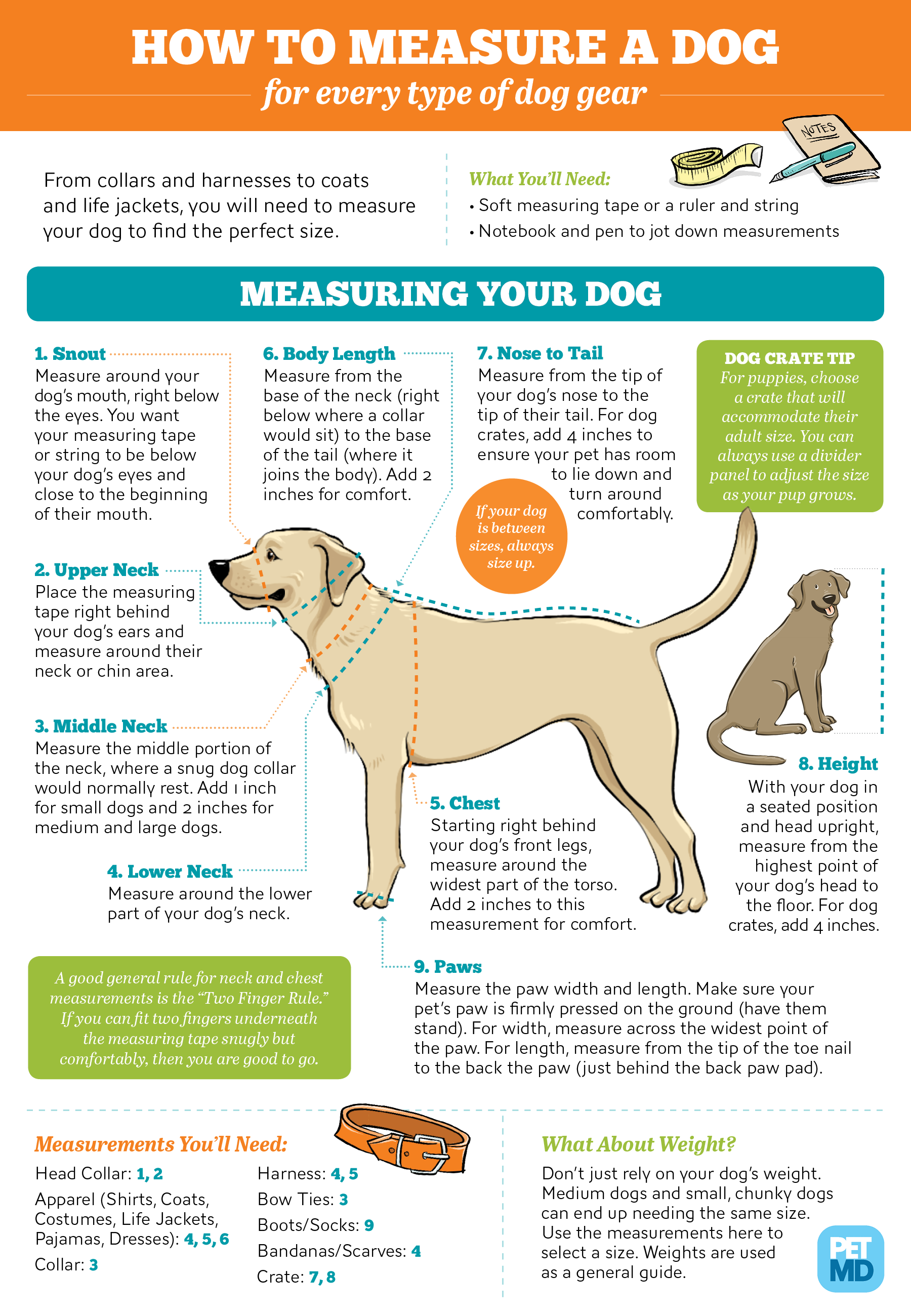 Guide for Finding Dog Measurements for All Your Dog Supplies – Lovin My Pup