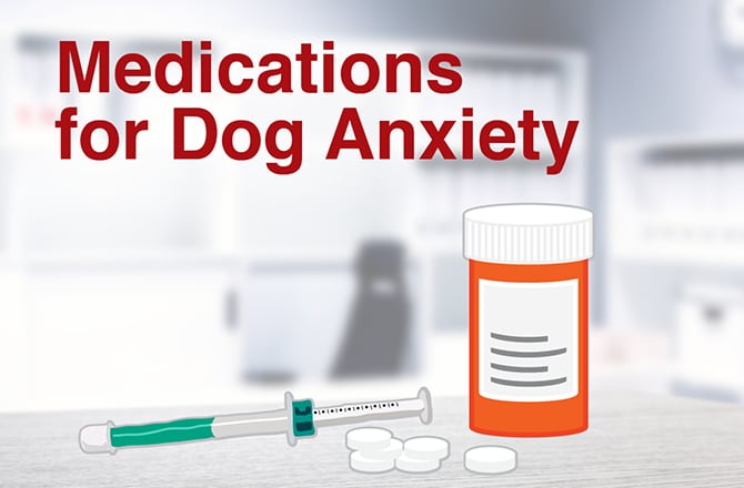 Canine Benadryl Dosage Chart