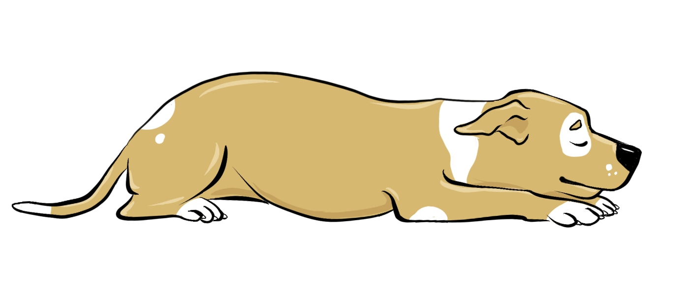 Featured image of post Easy Drawings Of Dogs Lying Down : If your kids are into cartooning we love how our collection of easy drawing tutorials keeps on growing.