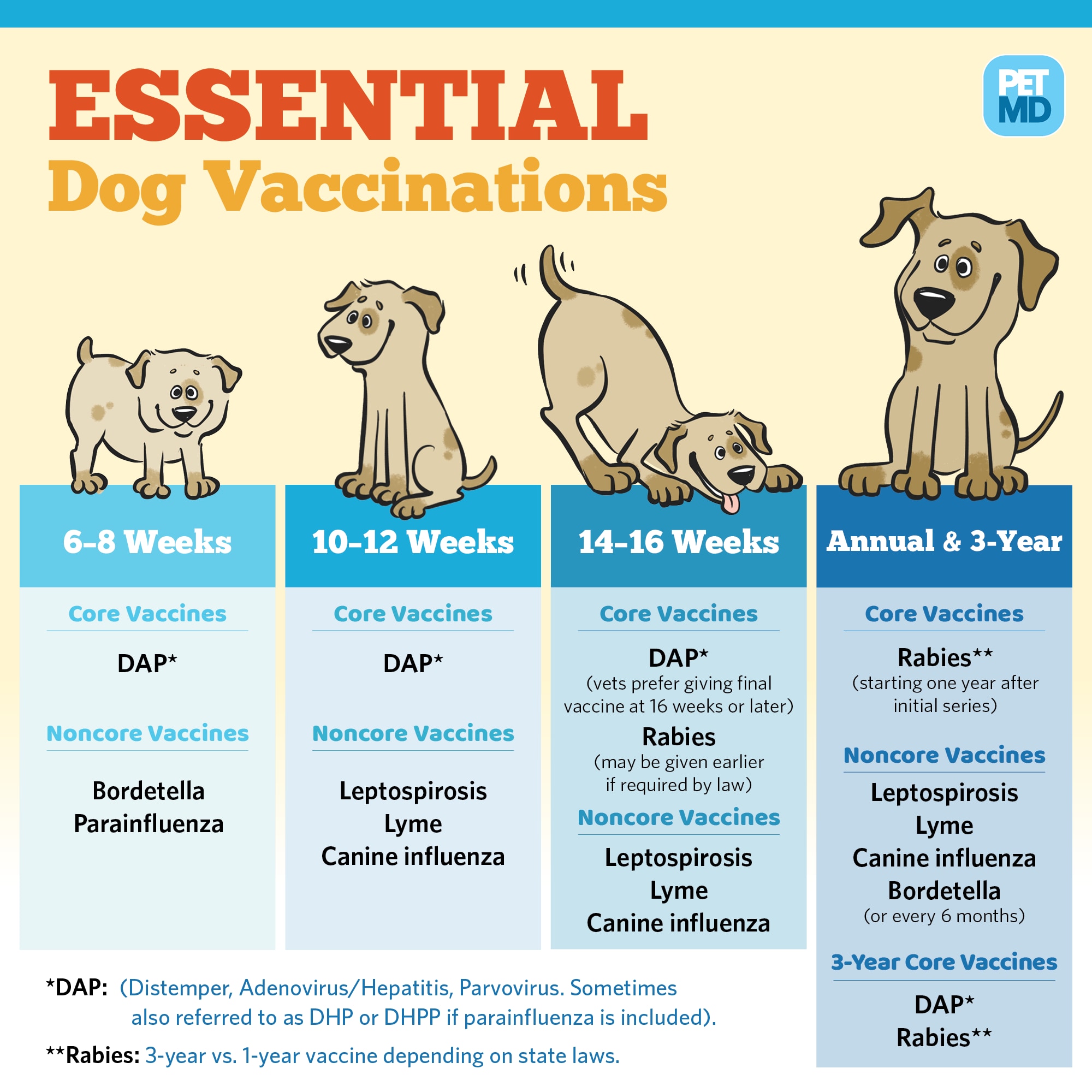 Basic Vaccine Schedule for Dogs