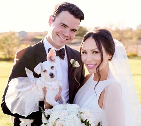 dogs in weddings