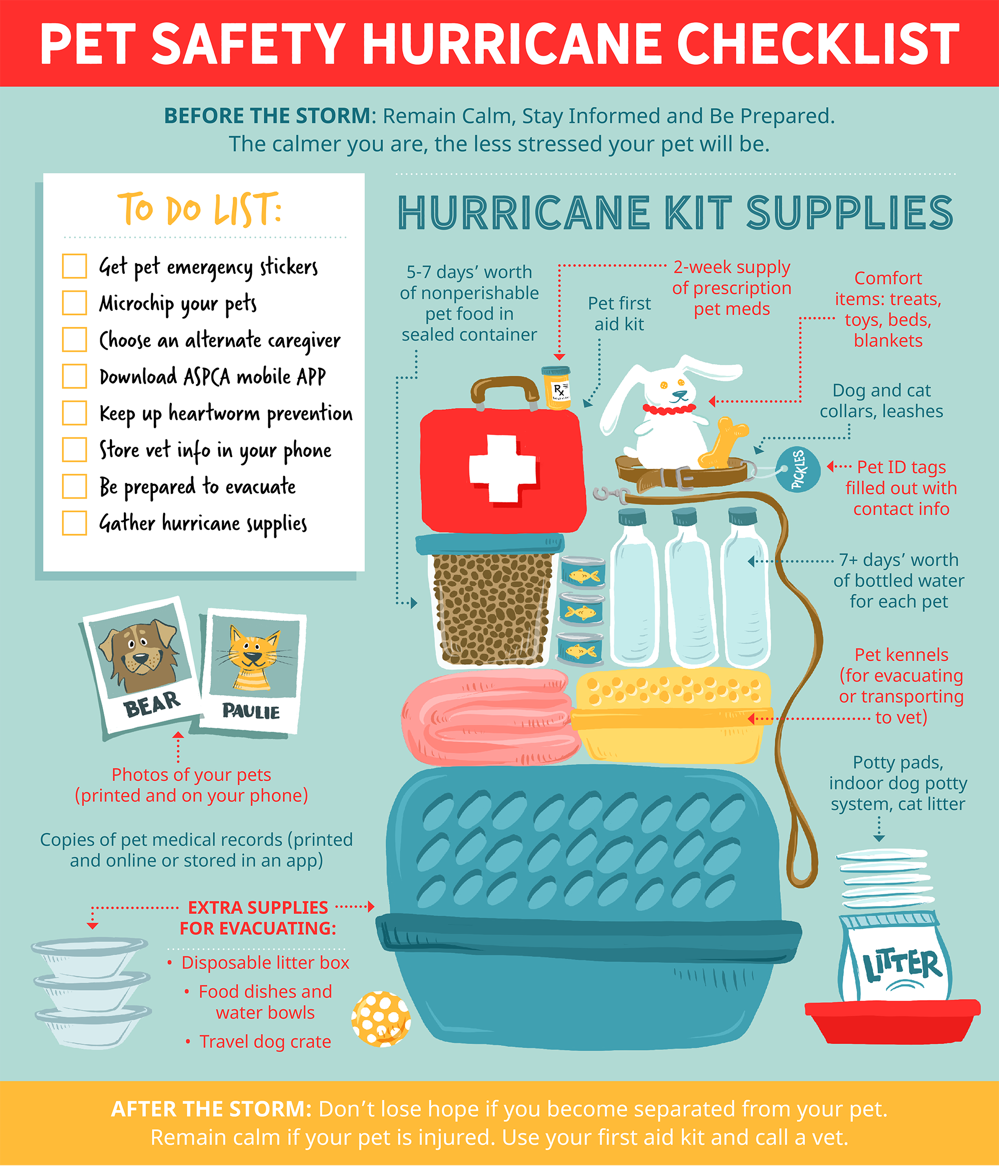 14 Hurricane Safety Tips for Pets | PetMD