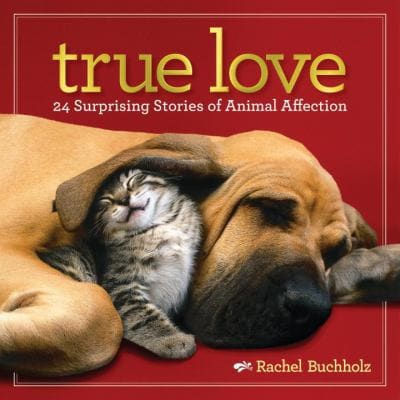 true love, animal love, can animals love, valentine dog, valentine cat