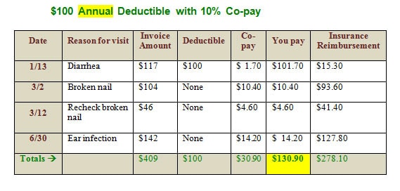 How Deductibles Affect Your Out-of-Pocket Costs | petMD