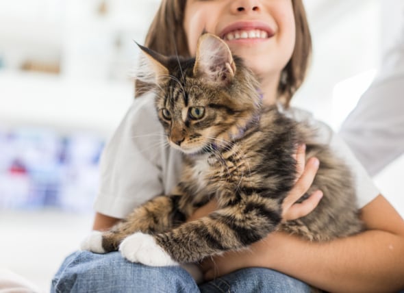 Can Growing up with a Cat Prevent Asthma in Children?  |  PetMD