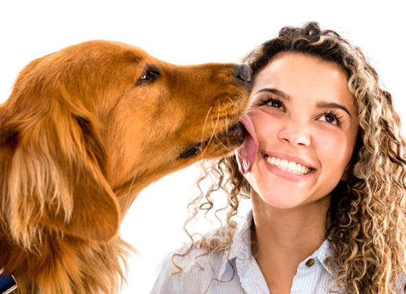 This Is What Really Happens When Your Dog Licks Your Face 