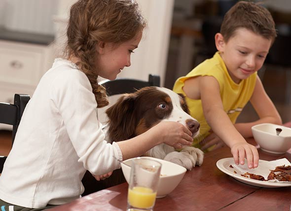People eating dog food shop