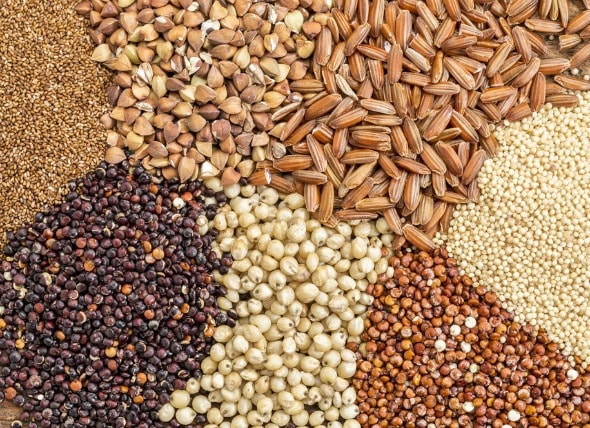 What Is Grain Free Pet Food, Really? | PetMD