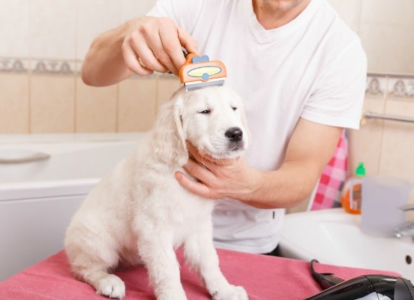 how to use clippers on your hair