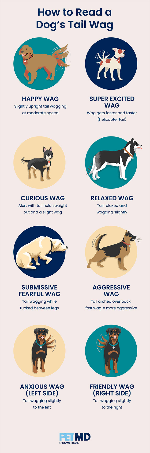 dog_tail_wagging_guide