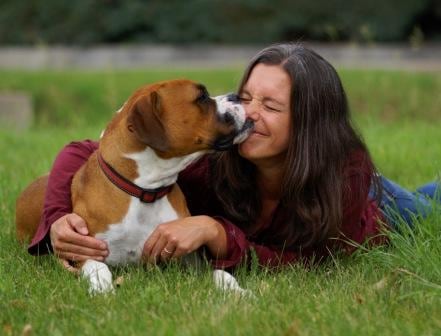 jennifer coates, petmd veterinary blogs