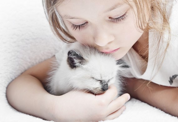 best cats for kids