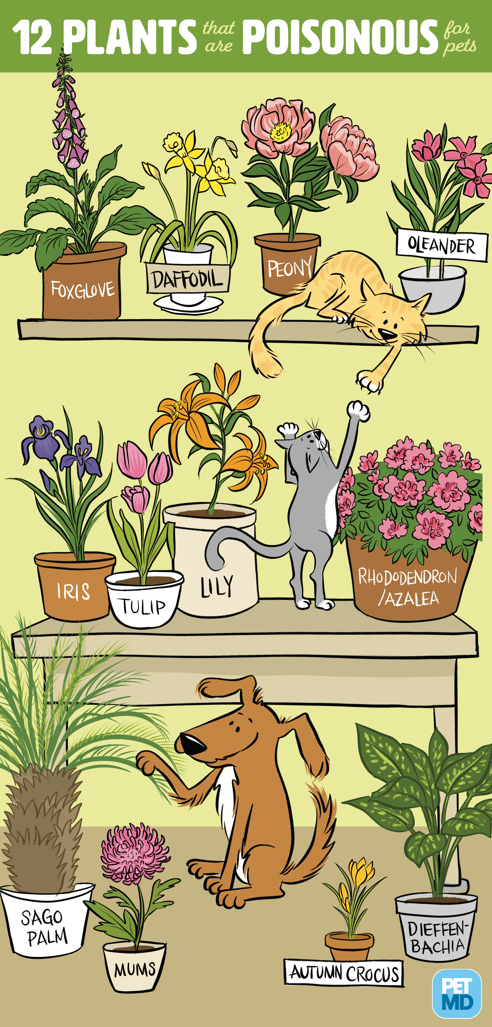 plants dogs should avoid