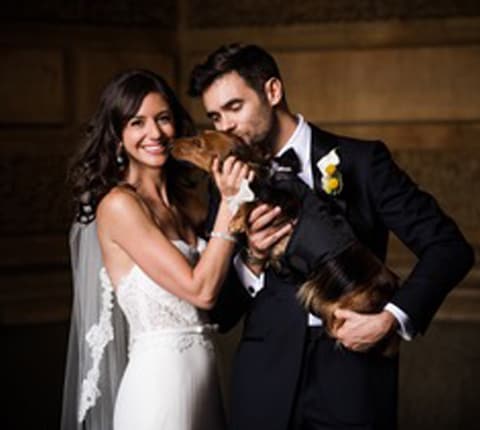 dogs in weddings