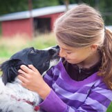 Low-Cost Veterinary Care for Those in Need | PetMD