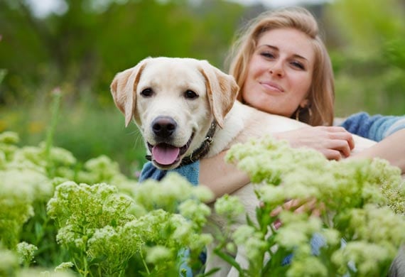 most loveable dog breeds