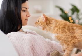 6 Things Your Cat Is Trying to Tell You