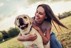 Periodontal (Gum) Disease in Dogs