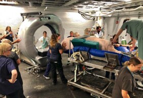 Esther Is the Largest Animal to Ever Receive a CT Scan in Canada
