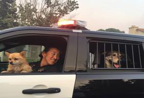 Vacaville Police Rescue 60 Shelter Animals Before Nelson Fire Strikes