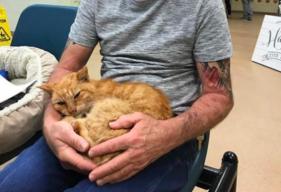 Cat and Owner Reunited After a Hurricane Separated Them 14 Years Ago