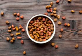 The Future of Pet Food: Trends to Watch