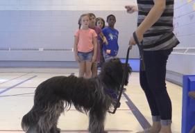 Montreal Kids Get Schooled on Dog Behavior by Fuzzy Mentors