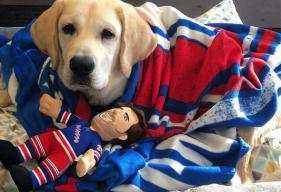 New York Rangers Welcome Autism Service Dog Named Ranger to the Team