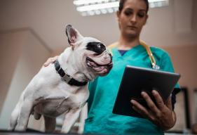 How Millennials Are Reshaping Your Experience at the Vet’s Office