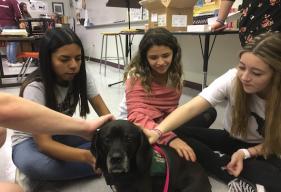 Therapy Dogs Visit Students Affected by Parkland Shooting