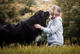 How to Keep Large Dogs Healthy at Every Life Stage