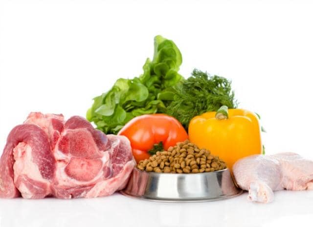 What's in a Balanced Dog Food? | PetMD