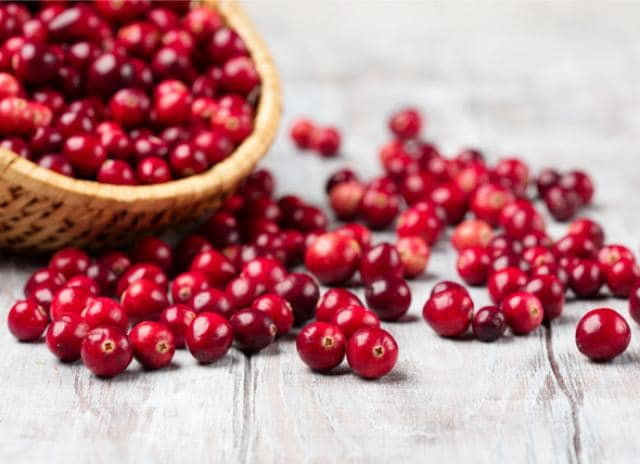 cranberries for dogs