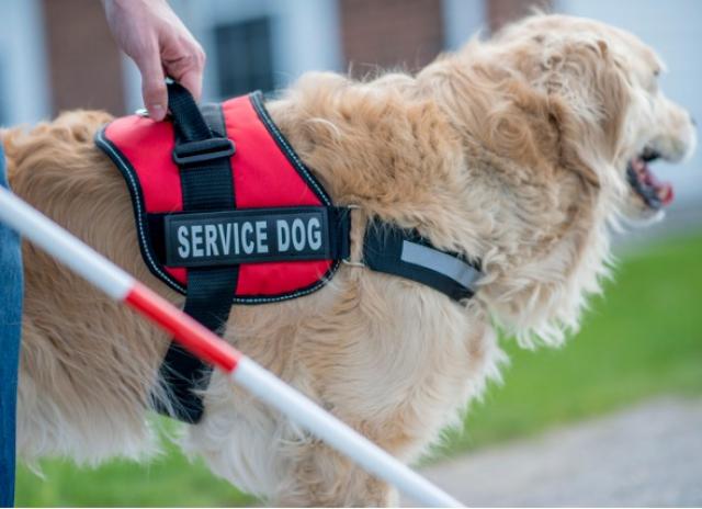 blind-person-with-service-dog