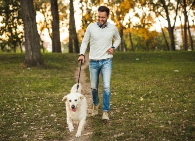 The Responsible Pet Owner's Checklist for Taking Care of a Pet | PetMD