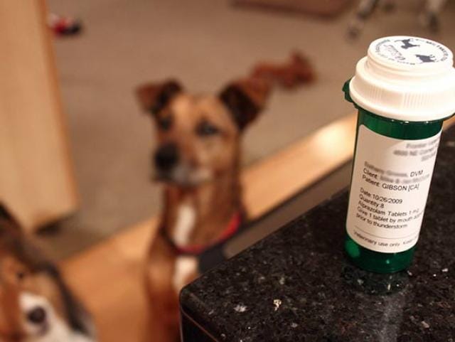 prescription pet meds online