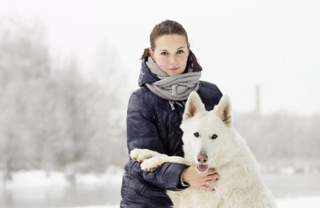7 Ways Cold Weather Can Affect Your Dog | PetMD