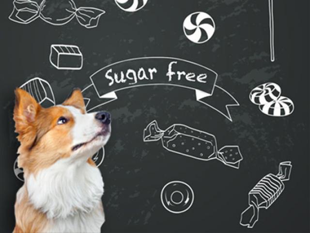 Sugar Free Foods Are Poison To Dogs Xylitol Poison In Dogs Petmd