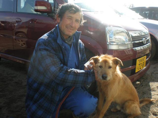 Earthquake Aftermath in Japan: How Animals are Being Affected | PetMD