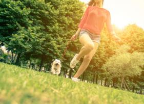 8 Dog Exercising Tips for Warm Weather
