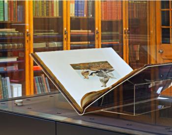 First Edition of John James Audubon’s Birds of America Book Sold for $9.65M