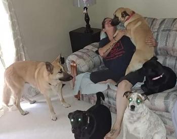 Fundraiser Helps Woman Evacuate With Her 7 Rescue Dogs Before Hurricane Florence