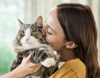 Purina Introduces Revolutionary Cat Food That Reduces Cat Allergens