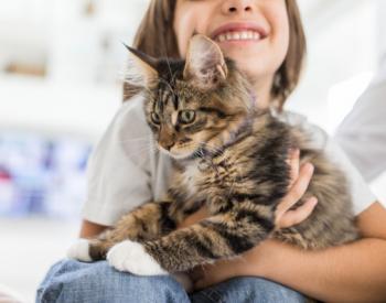 Can Growing up with a Cat Prevent Asthma in Children?