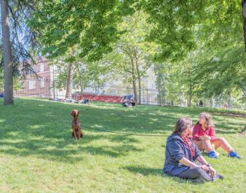 Paris Finally Allowing Dogs Into Their Public Parks